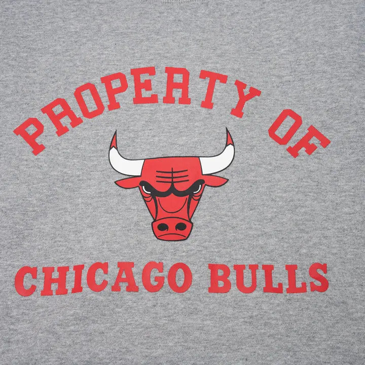 EE® NBA Bulls Eric Emanuel Hoodie